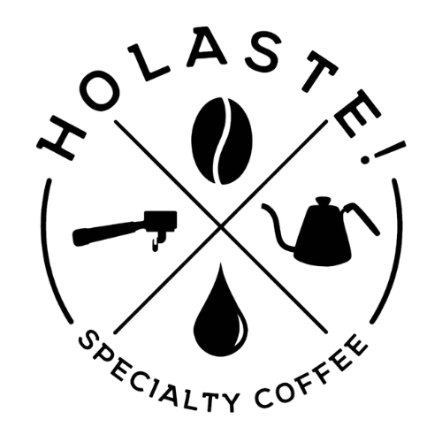 Logo de Holaste